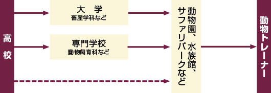 ルートマップ