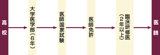 ルートマップ